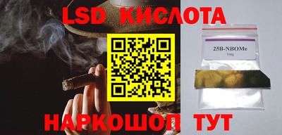 jwh Можга
