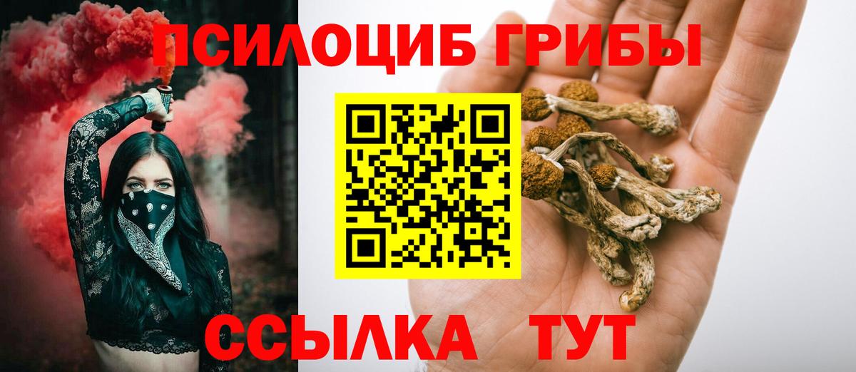 Сухой Лог  Галлюциногенные грибы Psilocybe  Вход с VPN  Галлюциногенные грибы прущие грибы 